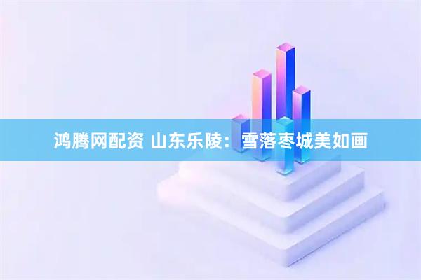 鸿腾网配资 山东乐陵：雪落枣城美如画