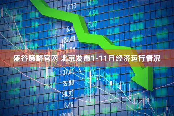 盛谷策略官网 北京发布1-11月经济运行情况