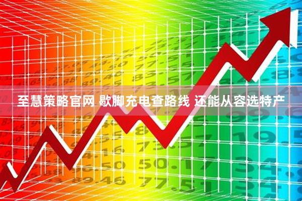 至慧策略官网 歇脚充电查路线 还能从容选特产