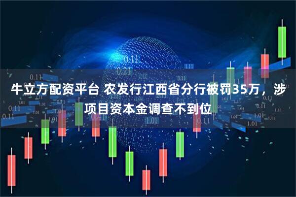 牛立方配资平台 农发行江西省分行被罚35万，涉项目资本金调查不到位