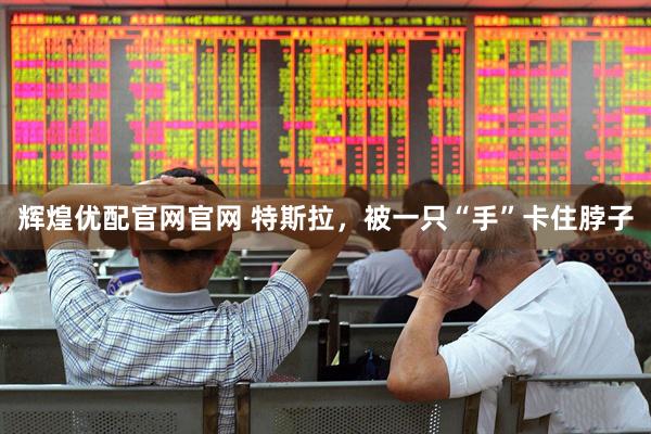 辉煌优配官网官网 特斯拉，被一只“手”卡住脖子